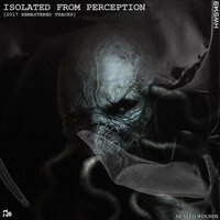 Isolated From Perception - Modular Phaze