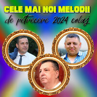 PETRECERE LA ACORDEON HORE SI SARBE - MIHAI DE LA CIOCANESTI & Neluta Bucur & George Nicoloiu & SORINEL DE LA PLOPENI & Coco de la Slatina & IONUT BAU