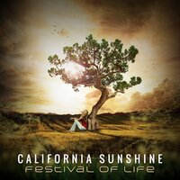 Welcome To Paradise - California Sunshine
