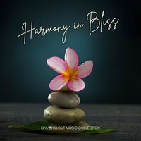 Serene Waves - Spa Chillout Music Collection