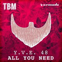 All You Need - Y.V.E. 48