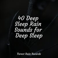 Rain, Storm and Thunder - Música Zen Relaxante & Rain & Massage