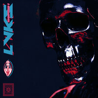 no complaints - l v k s