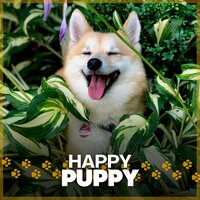 My Doggo Is Sleeping - Calm Dog Music
