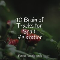 Woodland Birdsongs - Ambient Nature Project & Sleep Songs with Nature Sounds & FX & Effects