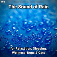 Tibetan Buddhism - Rain Sounds & Rain Sounds For Sleep & Rain Sounds by Angelika Whitta