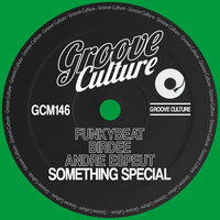 Something Special - FUNKYBEAT & Birdee & Andre Espeut