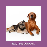 Pup Sunrise Lasting Love - Relaxing Dog Music
