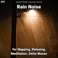 Rain to Focus - Rain Sounds to Fall Asleep To & Nature Sounds & Rain Sounds