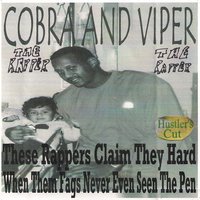As We Win - Cobra the Rapper