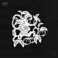Akrasia - Jares & Nara