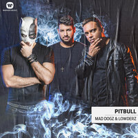 Pitbull - mad dogz & Lowderz