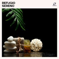 Brisa del Sur - Academia de Música de la Música Ambiente & Masaje Relajante Masters & Musica Zen Guru & Zona Spa Relajación