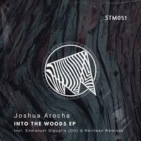 Into The Woods - Joshua Arocha