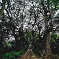 Jardim de Entrada - 2d intocável