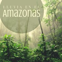 Gota a Gota - Sonidos de Lluvia y Viento