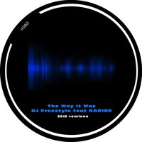 The Way It Was - DJ Freestyle & NADINE & Husky