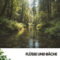 Nuit de rêve - Ruido Blanco Hart & Rivers and Streams & Schlafmusik