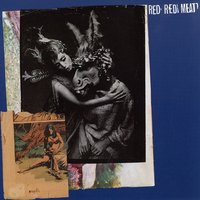 Ball - Red Red Meat