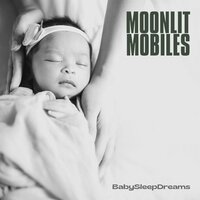 Gentle Night - BabySleepDreams