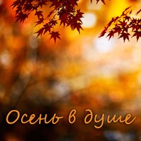 СЖК - Иван Дорн