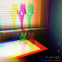 Lackadaisical - Imisu & pineconesweestones