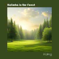 Beethoven : Tempest 3rd Mvt. - KALING