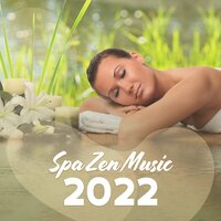 Nature paisible - Zone de la Musique Zen