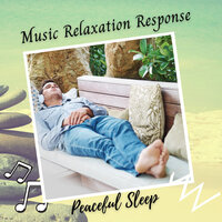 Calm Sleep Meditation - Sleep Music Lullabies & Pet Care Club & Sleeping Ember