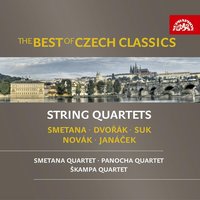 String Quartet No. 2 in D Major, Op. 35: II. Fantasia. Allegro passionato ma non troppo presto - Smetana Quartet