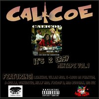Paper - Calicoe