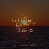 Rain Dripping from the Roof - Deep Sleep Systems & Water Spa & Nature Sounds XLE Library