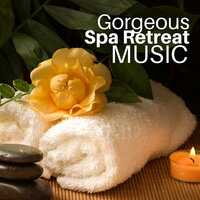 Cleanse Your Chakras - SPA & Wellness Masters Massage