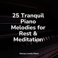Feeling Fine - Classical Piano Music Masters & Piano Bar & Piano Therapy