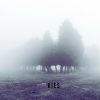 Circular Flow - Ries