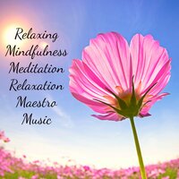 Calming Music Academy - Positive Ray