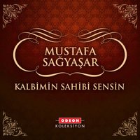 Hayal Dolu İstanbul / Herşeyinle Güzelsin - Mustafa Sağyaşar
