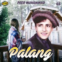 Sta Da Lasa Ghark Yam - Peer Muhammad