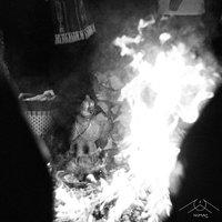 La Marcha de los Arboles - Mente Organica