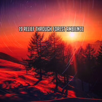 Остановиться на перерыв - Sounds Of Nature Relaxation