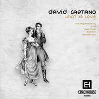 What Is Love - David Caetano