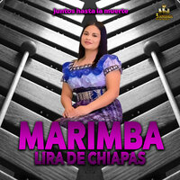 Sentimientos De Mi Corazon - Marimba Lira De Chiapas