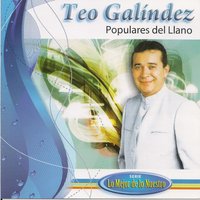 Volveré a Trabajar Llano - Teo Galíndez
