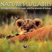 Rock-a-Bye Baby - Nature's Harmony