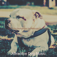 Pulsating Moods for Doggy Training - Attractive Dog Music