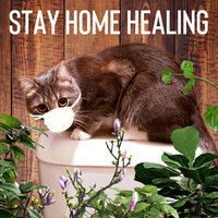 Natural Sleep - Healing Energy