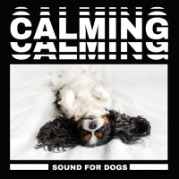 Sleeping Music for Dogs Therapy - Calm Pets Music Academy