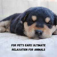 Music for pets - Dogs music & Relaxing Guru & Cat Music