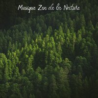 Face to Face - Musique Zen Garden & Sophrologie & Berceuses