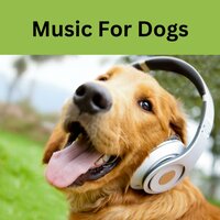 Doggy Daydreams - Music for Dogs & Calm Pets Music Academy & Relaxing Puppy Music & Music for Dogs Peace